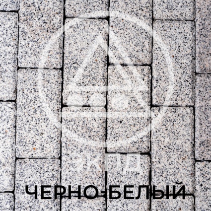  81