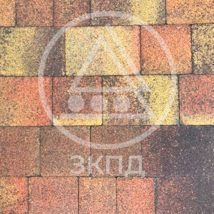  20