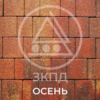  41