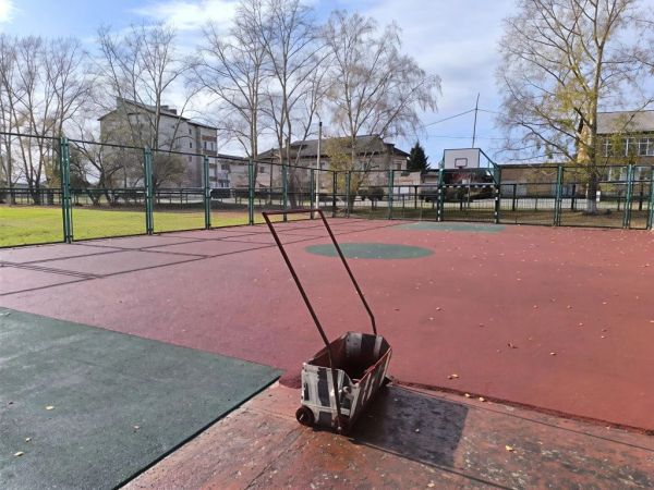 Бесшовное резиновое покрытие. Изображение №4