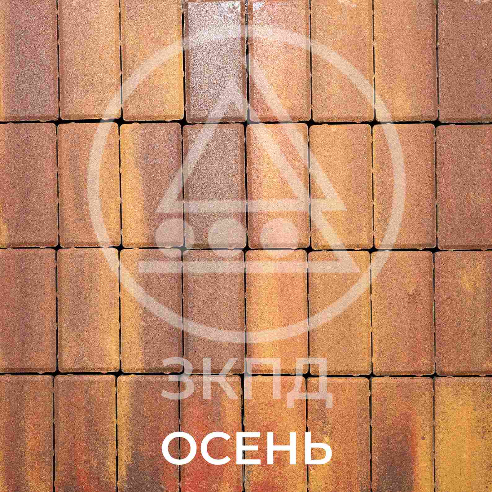 Брусчатка осень гладкая